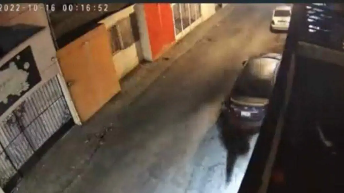 Dos perros frustraron el robo de un delincuente y provocaron que el sujeto se tirara de la azotea